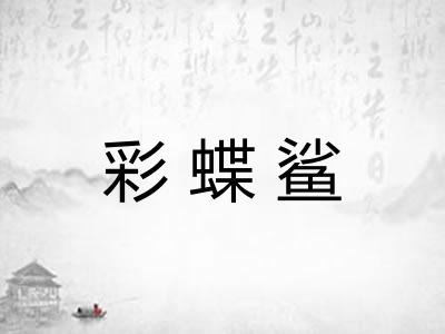 彩蝶鲨
