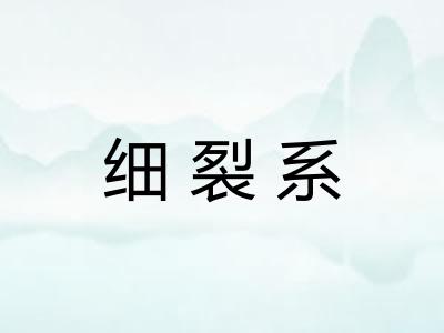细裂系