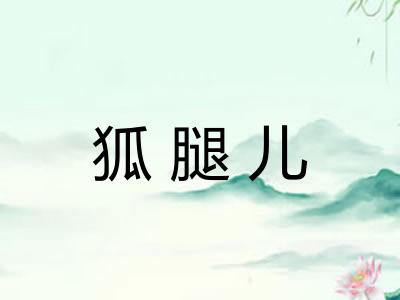 狐腿儿