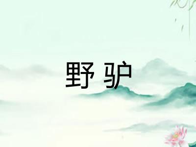 野驴