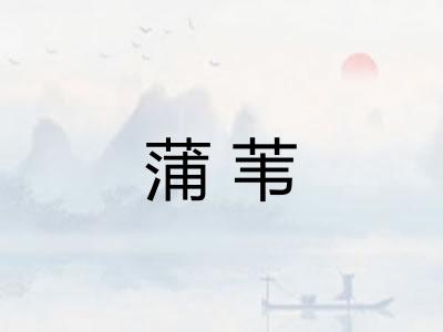 蒲苇