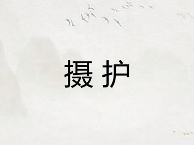 摄护
