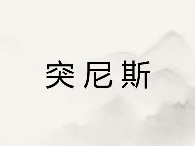 突尼斯