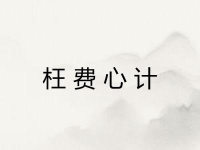 枉费心计