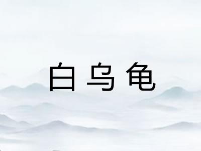 白乌龟