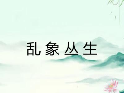 乱象丛生