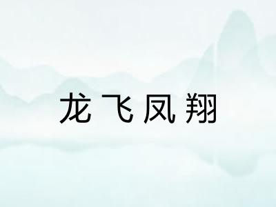 龙飞凤翔