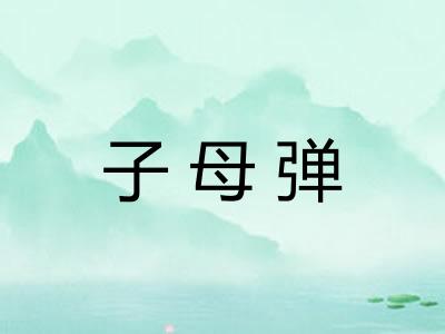 子母弹