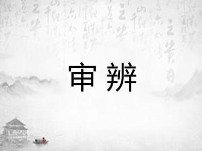 审辨