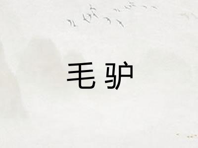 毛驴