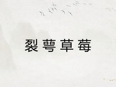 裂萼草莓