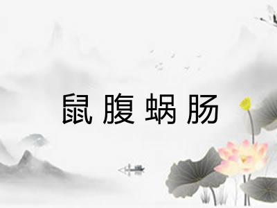 鼠腹蜗肠