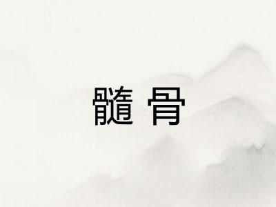 髓骨