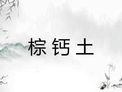 棕钙土