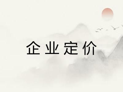 企业定价