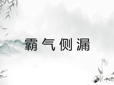 霸气侧漏