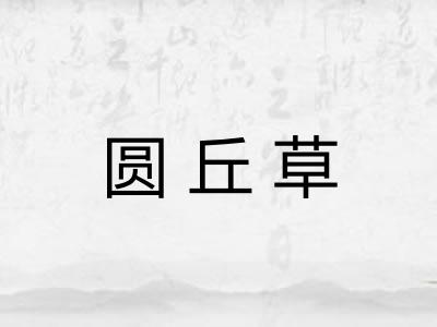 圆丘草