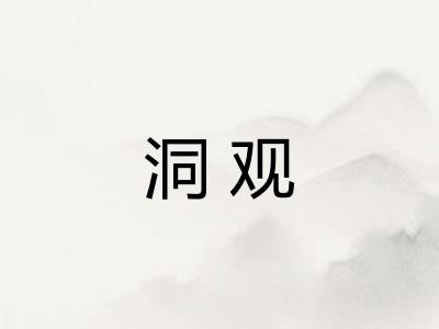 洞观