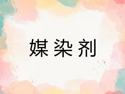 媒染剂