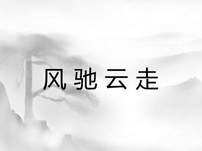 风驰云走