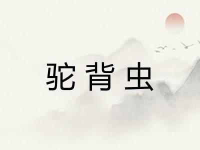 驼背虫