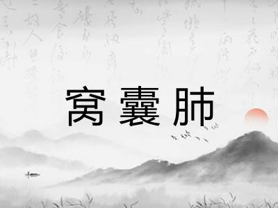 窝囊肺