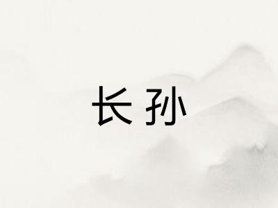 长孙 长孙