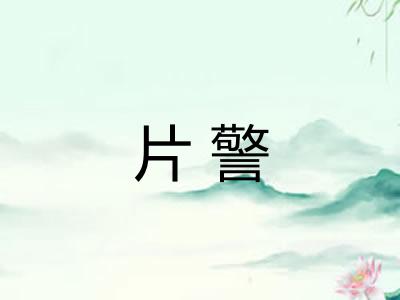 片警