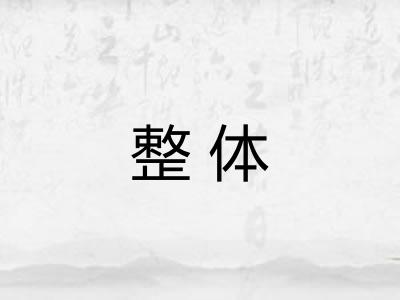 整体