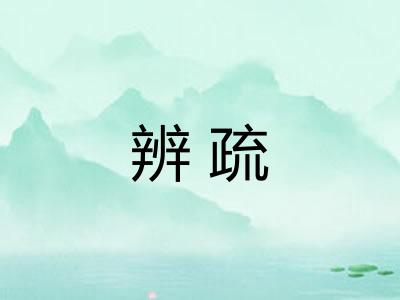 辨疏