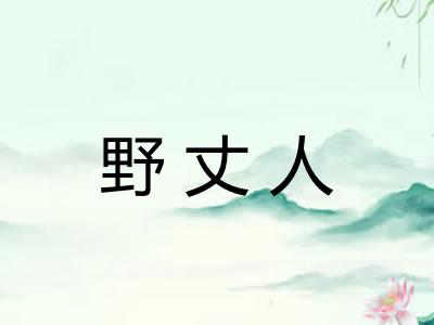 野丈人