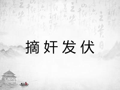 摘奸发伏