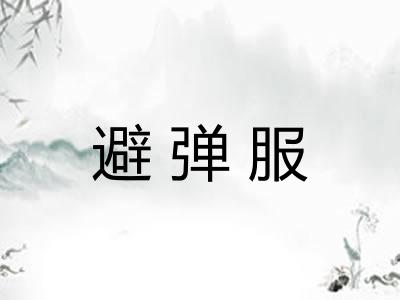 避弹服 避弹服