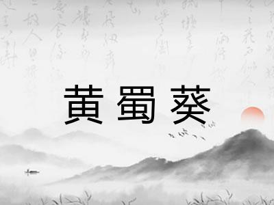 黄蜀葵