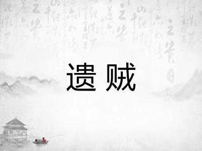 遗贼