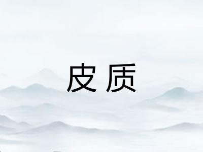 皮质