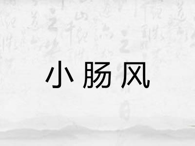 小肠风