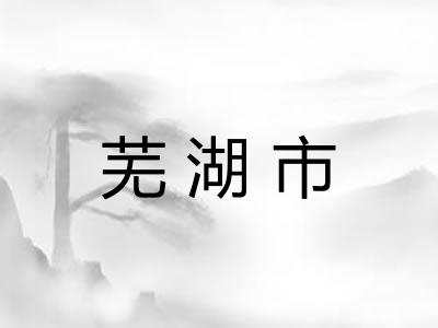 芜湖市