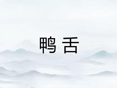 鸭舌