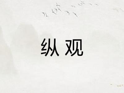纵观