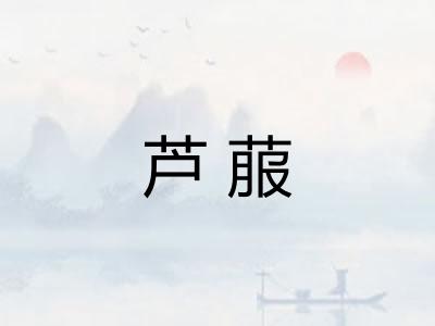芦菔