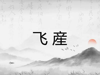 飞産