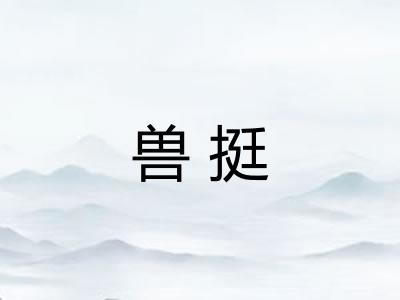 兽挺