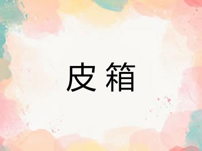 皮箱