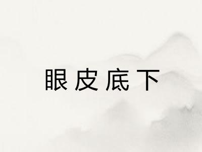 眼皮底下