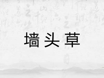 墙头草