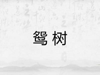 鸳树