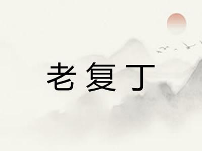 老复丁