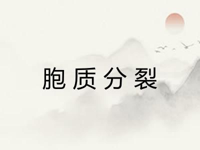 胞质分裂