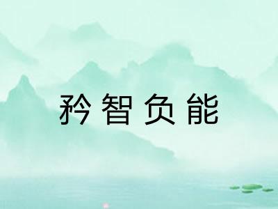 矜智负能